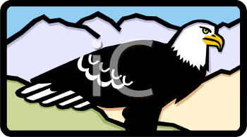 Eagle Clipart