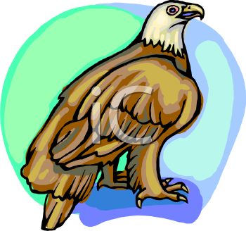 Eagle Clipart