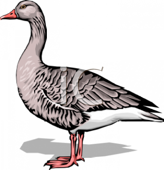 Geese Clipart