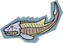 Fish Clipart