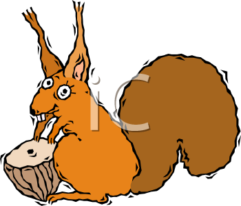 Squirrel Clipart