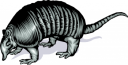 Mammal Clipart