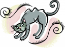 Cat Clipart