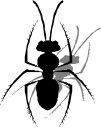 Bug Clipart