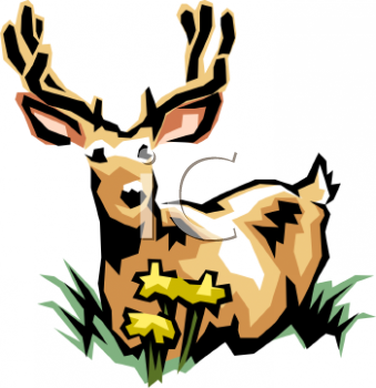 Elk Clipart