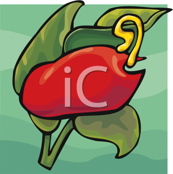 Pepper Clipart