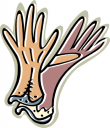 Clothing Clipart