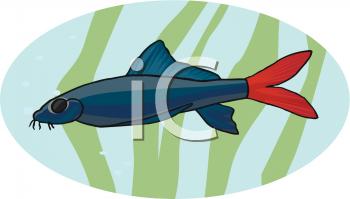 Fish Clipart