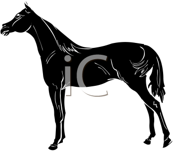 Horse Clipart