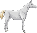 Horse Clipart