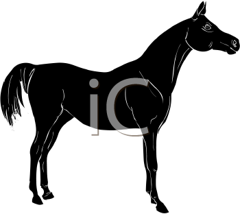 Horse Clipart