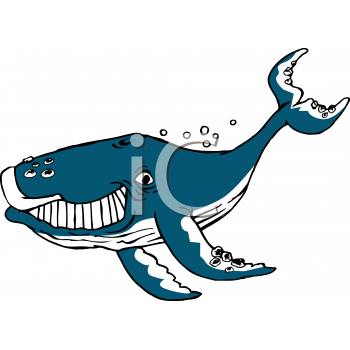 Whale Clipart
