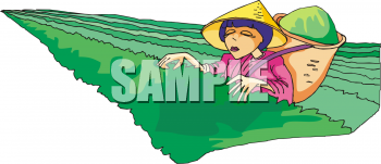 Field Clipart