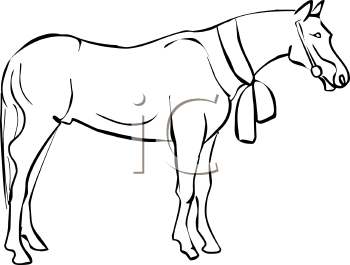 Horse Clipart