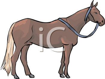 Horse Clipart