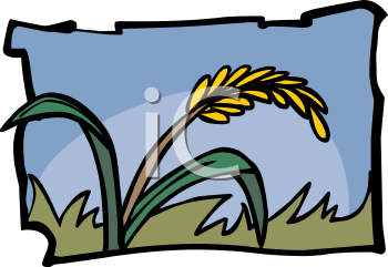 Grass Clipart