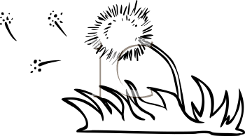 Grass Clipart