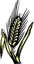 Cereal Clipart