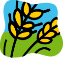 Cereal Clipart