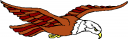 Eagle Clipart