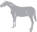 Horse Clipart