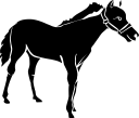 Horse Clipart