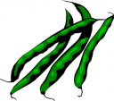 Bean Clipart
