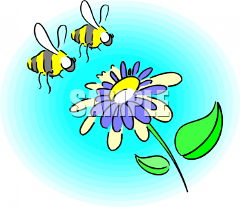 Bug Clipart