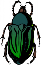 Bug Clipart