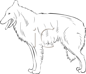 Dog Clipart
