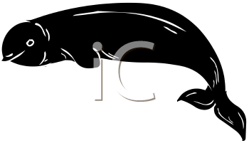 Mammal Clipart