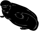 Mammal Clipart