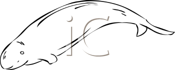 Mammal Clipart