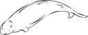Mammal Clipart