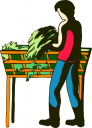 Grass Clipart