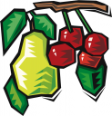 Pear Clipart