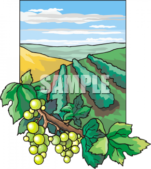 Produce Clipart