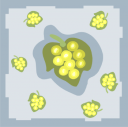 Wine Clipart