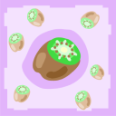 Kiwi Clipart