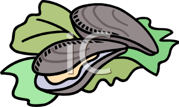 Oyster Clipart