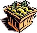 Grapefruit Clipart