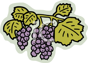 Wine Clipart