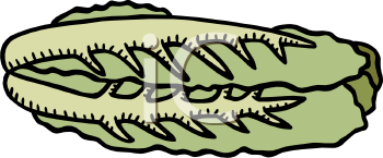 Vegetables Clipart
