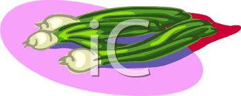 Onion Clipart