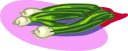 Onion Clipart