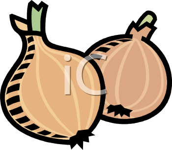 Onion Clipart