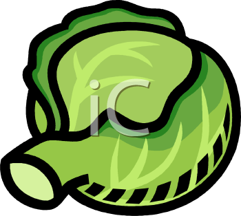 Cabbage Clipart