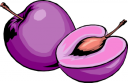 Plum Clipart