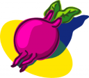 Radish Clipart