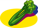 Celery Clipart